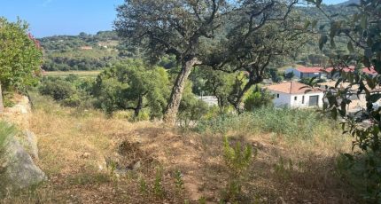 Sainte-Maxime Terrain à bâtir - 1644499-3951annonce120230704xzoqP.jpeg Maisons Open