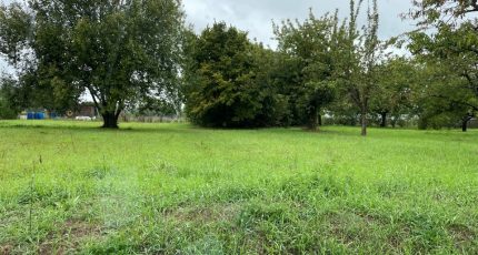 Villers-sur-le-Roule Terrain à bâtir - 1648986-5312annonce120230711cngu9.jpeg Maisons Open