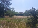  1651899-1837annonce220230717fH54U.jpeg Maisons Open