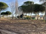  1651705-3243annonce220230313mOvQ1.jpeg Maisons Open