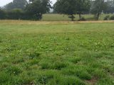  1651523-3421annonce120230717T4JPh.jpeg Maisons Open