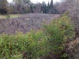  1653043-7066annonce120230719JqNSN.jpeg Maisons Open