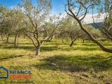  1652990-5871annonce120230719ndL8d.jpeg Maisons Open