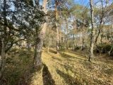  1654373-7067annonce220230721rNrU2.jpeg Maisons Open