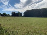  1576977-10183annonce120230330WWXxT.jpeg Maisons Open