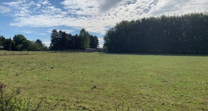 Neufchâtel-en-Bray Terrain à bâtir - 1576977-10183annonce120230330WWXxT.jpeg Maisons Open