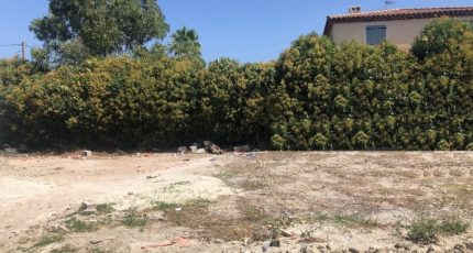 Cassis Terrain à bâtir - 1654921-7034annonce12023072165S7i.jpeg Maisons Open