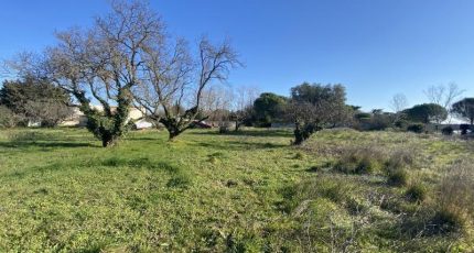 Souvignargues Terrain à bâtir - 1656484-609annonce120230725BxxX9.jpeg Maisons Open
