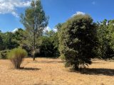  1658557-7060annonce2202305121G1av.jpeg Maisons Open