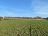  1638613-3427annonce120220124JnBmo.jpeg Maisons Open