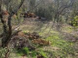  1659942-5922annonce120230801123z3.jpeg Maisons Open