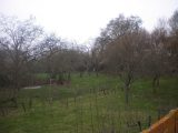  1661327-4353annonce120230804mxJJI.jpeg Maisons Open