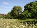  1661937-4353annonce120230807FkXpG.jpeg Maisons Open