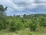  1661661-6150annonce120230605SMO0F.jpeg Maisons Open