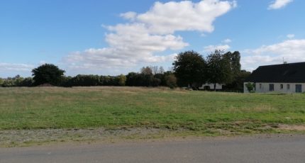 Lougé-sur-Maire Terrain à bâtir - 1663024-5869annonce220230810dJgQS.jpeg Maisons Open