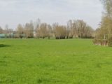  1663377-1807annonce220230811Ii4ai.jpeg Maisons Open