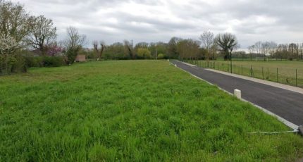 Herrin Terrain à bâtir - 1663425-1807annonce220230811ztf2d.jpeg Maisons Open