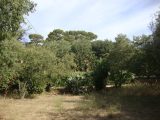  1663519-649annonce120230811TODTL.jpeg Maisons Open