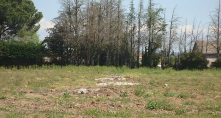 La Crau Terrain à bâtir - 1663694-649annonce220230814AwdvK.jpeg Maisons Open