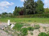  1663729-5754annonce220230814b42mw.jpeg Maisons Open