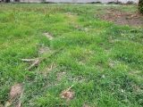  1624629-4671annonce120230607uIobL.jpeg Maisons Open