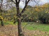  1664445-6043annonce120230817cKXyH.jpeg Maisons Open