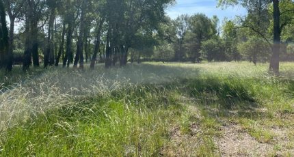 Salernes Terrain à bâtir - 1664896-4529annonce320230818vMxVn.jpeg Maisons Open