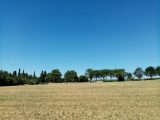  1663511-5993annonce120230811x4EUS.jpeg Maisons Open