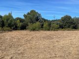  1665367-7060annonce220230820upfWP.jpeg Maisons Open