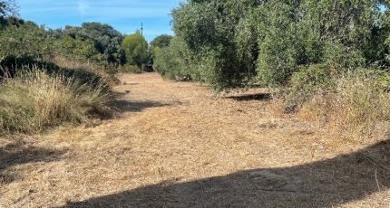 Éguilles Terrain à bâtir - 1665367-7060annonce120230820ssZBw.jpeg Maisons Open
