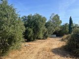  1665367-7060annonce420230820ncBTK.jpeg Maisons Open