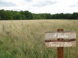  1652496-3427annonce120230718ra8Vg.jpeg Maisons Open