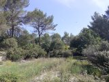  1665855-9269annonce1202308212y1GH.jpeg Maisons Open