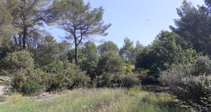 Flayosc Terrain à bâtir - 1665855-9269annonce1202308212y1GH.jpeg Maisons Open