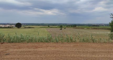 Alignan-du-Vent Terrain à bâtir - 1666507-9415annonce120230823xfaxc.jpeg Maisons Open
