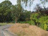  1666699-1807annonce220230823qCdRu.jpeg Maisons Open