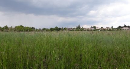 Puygouzon Terrain à bâtir - 1667589-10419annonce120230824lHKNO.jpeg Maisons Open