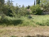  1667636-7054annonce2202308242hKgK.jpeg Maisons Open
