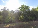  1666440-10376annonce1202308222SqU8.jpeg Maisons Open