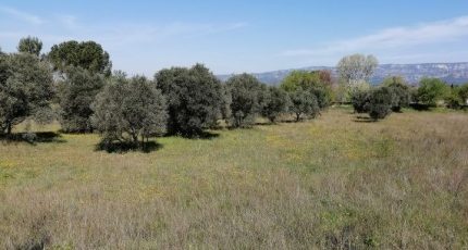 Lançon-Provence Terrain à bâtir - 1668832-7289annonce120230828HkevR.jpeg Maisons Open