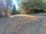  1668938-10316annonce120230828VRR19.jpeg Maisons Open