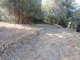  1668938-10316annonce220230828KiBdl.jpeg Maisons Open