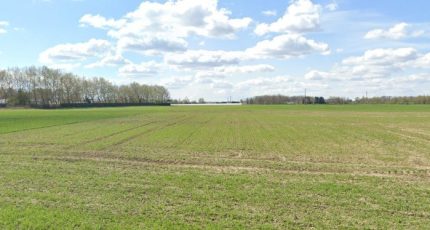 Douvrin Terrain à bâtir - 1670489-1807annonce120230830TCUl5.jpeg Maisons Open