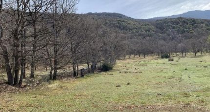 Aiguines Terrain à bâtir - 1669853-10122annonce220230829KccVF.jpeg Maisons Open