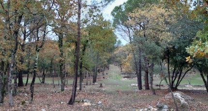 Camps-la-Source Terrain à bâtir - 1669911-10122annonce220230829VyJsT.jpeg Maisons Open