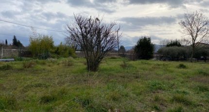 Carnoules Terrain à bâtir - 1669935-10122annonce220230829Omo39.jpeg Maisons Open