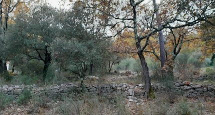 Méounes-lès-Montrieux Terrain à bâtir - 1670431-10122annonce320230830Mm2qJ.jpeg Maisons Open