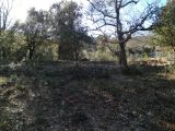  1670431-10122annonce420230830b9Akd.jpeg Maisons Open