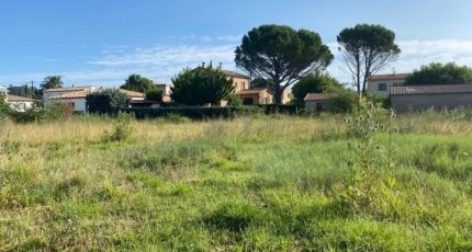 Vidauban Terrain à bâtir - 1670568-10122annonce220230830Mk5hh.jpeg Maisons Open