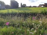  1672249-5754annonce2202308313OpeF.jpeg Maisons Open